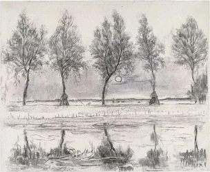 Trees by the Gein
